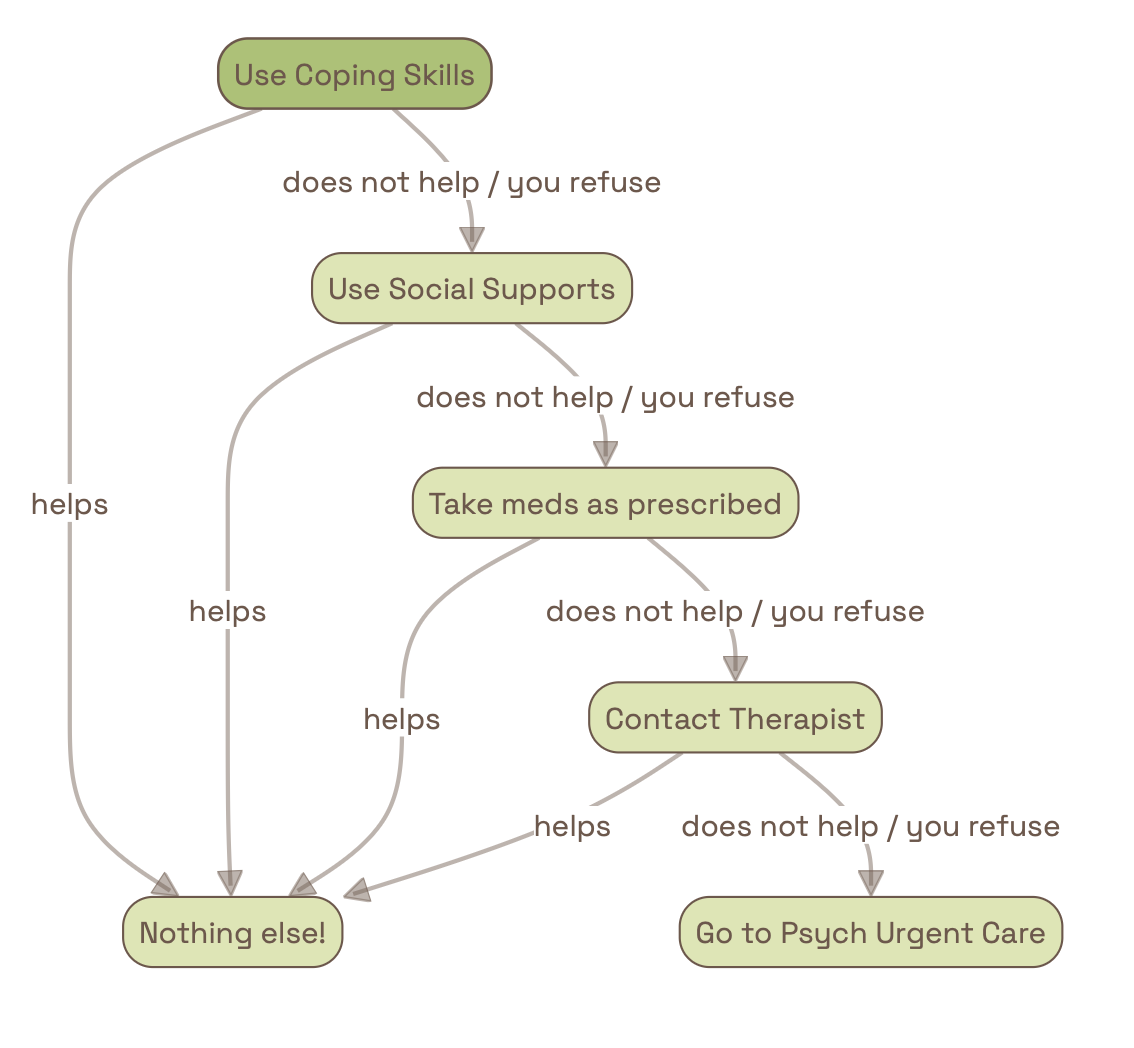 Example crisis plan 2 preview